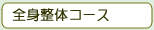 全身整体コース